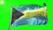 Bahamas flag seamless looping 3D rendering video. Beautiful textile cloth fabric loop waving