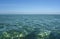 Bahamas- Mayaguana- Sailing Over the Coral Reefs