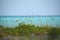 Bahamas- Mayguana- A Beautiful Turquoise Sea View With Sea Oats