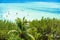 Bahia Honda State Park - Calusa Beach, Florida Keys - tropical coast with paradise beaches - USA