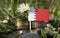 Bahrain flag with stack of money coins with grass