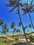 Baia Formosa Beach, Rio Grande do Norte, Brazil