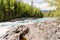 BaileyÂ´s Chute, Wells Gray Provincial Park, BC, Canada