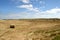 Bails of Hay in the Fields