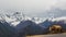 Baima Snow mountain with a Yak