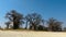 Baines Baobabs which is located in the south of Nxai Pans National Park, Botswana