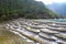 Baishui river at Jade Dragon Snow Mountain