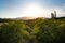 Baja California Beach Cabins and beautiful landscape