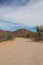 Bajada Loop Drive, a sandy road through the desert of Saguaro National Park West, Arizona