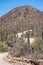 Bajada Loop Drive, a winding unpaved road is a scenic drive in Saguaro National Park in Arizona