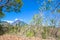 Bajawa - Distant view on Volcano Inierie