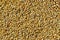 Bajra grain,millets seeds top view ,indian Bread  seed millet