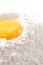 Bake it! egg yolk on flour, white backdrop