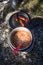 Baked beans and sausages on camping kitchen.