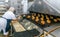 Baked Breads on the production line at the bakery