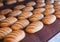 Baked Breads on the production line at the bakery