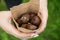 Baked chestnuts in a paper bag