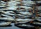 Baked herring