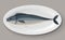 Baked mackerel dish on plate. Crucian carp for restaurant, dishware with food vector illustration