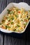 Baked pasta conchiglioni with cheese, chicken, mushrooms and veg