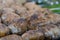 baked potatoes on the coals on the grill with a Golden crust. food preparation