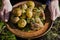 Baked potatoes with pork ribs on the fire laid out on a clay plate, decorated with greens. Dinner in nature