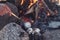 Baked potatoes wrapped with aluminum foil roasting in a bonfire. Fork placing potatoes to the fire. Outdoor camping and dining