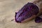 Baked purple color of japanese sweet potato