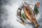 Baked silver trout, roasted fish on a plate with herbs. White background. Top view. Free space for your text