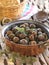 Baked snails in a sauce pan