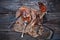 Baked succulent pork meat, sliced pieces on parchment paper, close-up with bread and tomato sauce, dark wooden rustic background