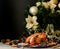 Baked turkey or chiken or Christmas or New Year Thanksgiving Day space for text