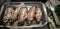 Baked Turkey wings in a baking dish