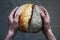 Baker man holding white sourdough bread. Homemade bread.