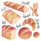 Bakery collection , realistic hand drawn illustration, various kinds of bread, crusty italian ciabatta and japanese milk