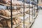 Bakery showcase. Freshly baked bread. Presentation of bread in a shop window of a hypermarket.