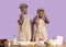 Baking disaster concept. Desperate young black couple having difficulty cooking over lilac background