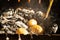 Baking potatoes in hot coals on the grill on a picnic close up