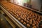 Baking production line. Cookies in form of hearts after glaze coating on conveyor