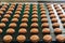 Baking production line. Raw uncooked cookies after forming going to oven by conveyor