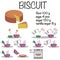 Baking a sponge cake. Homemade classic vanilla biscuit recipe step by step. Instruction. Cooking lesson. Cookie recipe.