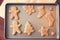 Baking tray with gingerbread holiday cookies