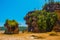 BAKO, KUCHING, SARAWAK, BORNEO, MALAYSIA: beautiful landscape with views of the Bako national Park beach landscape with rocks with