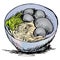 Bakso Indonesian food, hand drawing illustration.