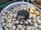 Bakso is one of the most popular street foods in Indonesian cities and villages alike