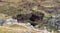 Balaa gorge sinkhole, geological wonder, in Mount Lebanon, Lebanon