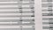 Balance sheet of financial statement, analysis of business plan for stockholders