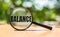 BALANCE text through magnifier on wooden table over blurred nature background