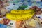 Balanced healthy nutrition cost concept - Two yellow and brown ripe bananas on euro paper money bank notes