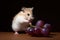 Balanced nutrition: grape treats for hamsters